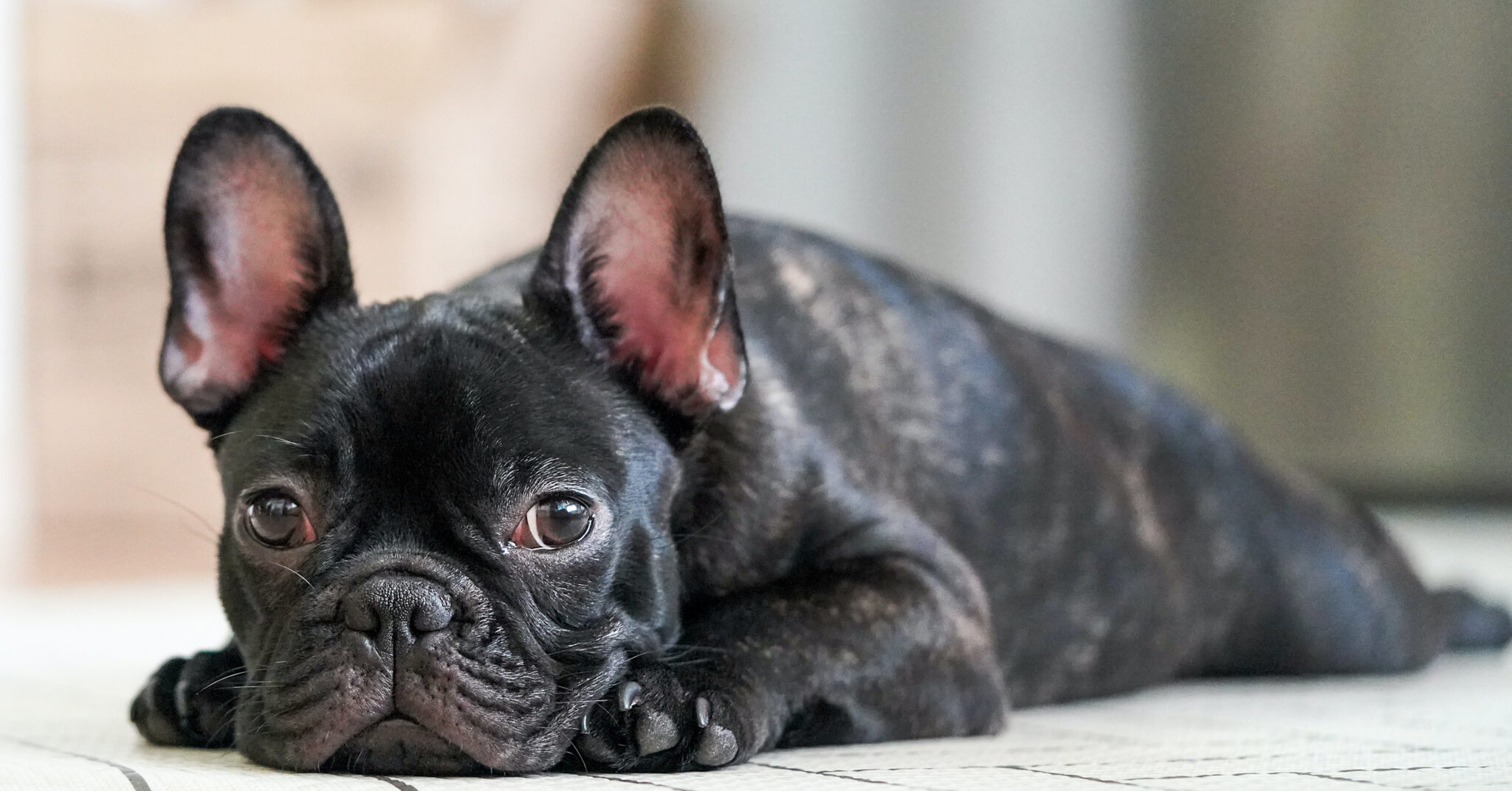 Wat is het karakter van een