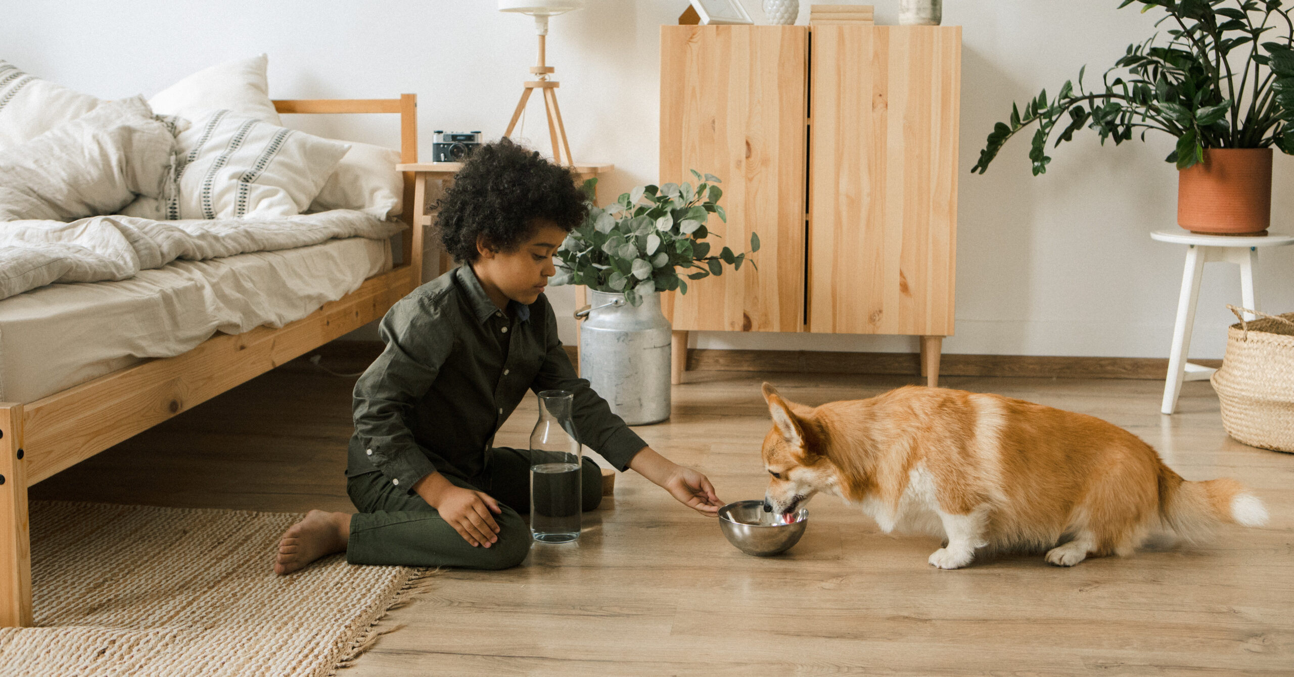 Tips voor het introduceren van nieuwe huisdieren aan elkaar en aan jouw gezin