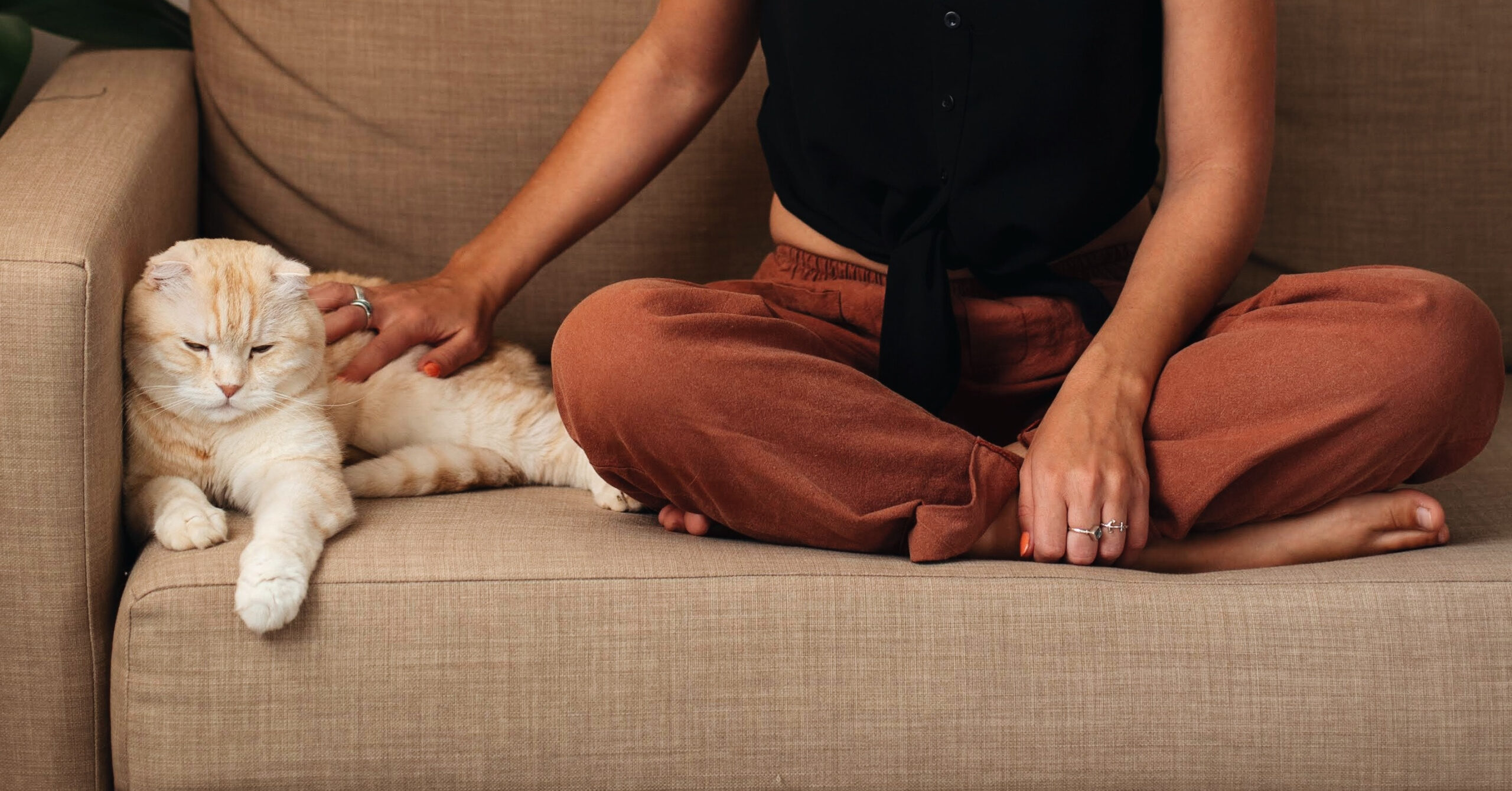 Essentiële EHBO-tips voor huisdieren die elke eigenaar moet weten